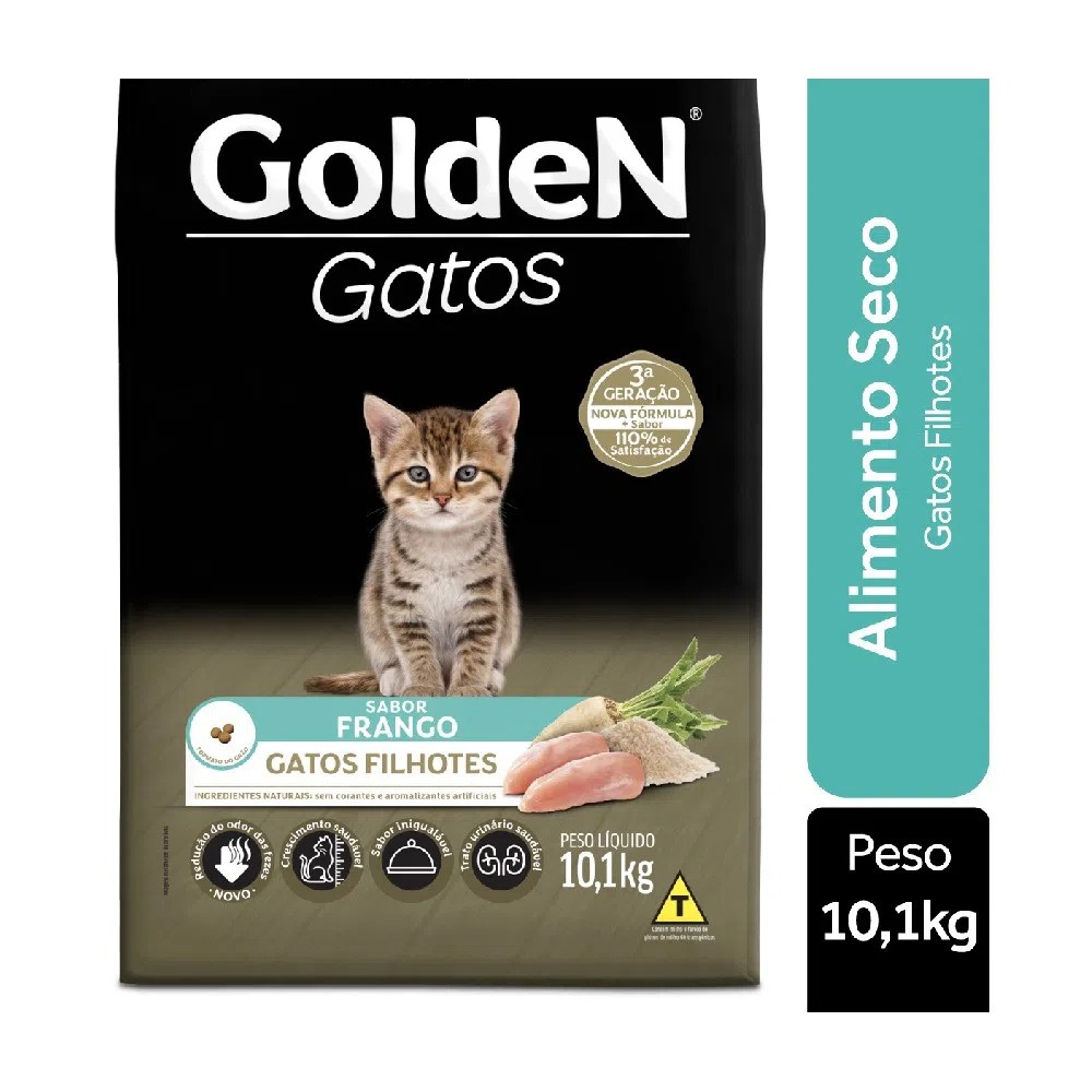 Golden Gato Filhote