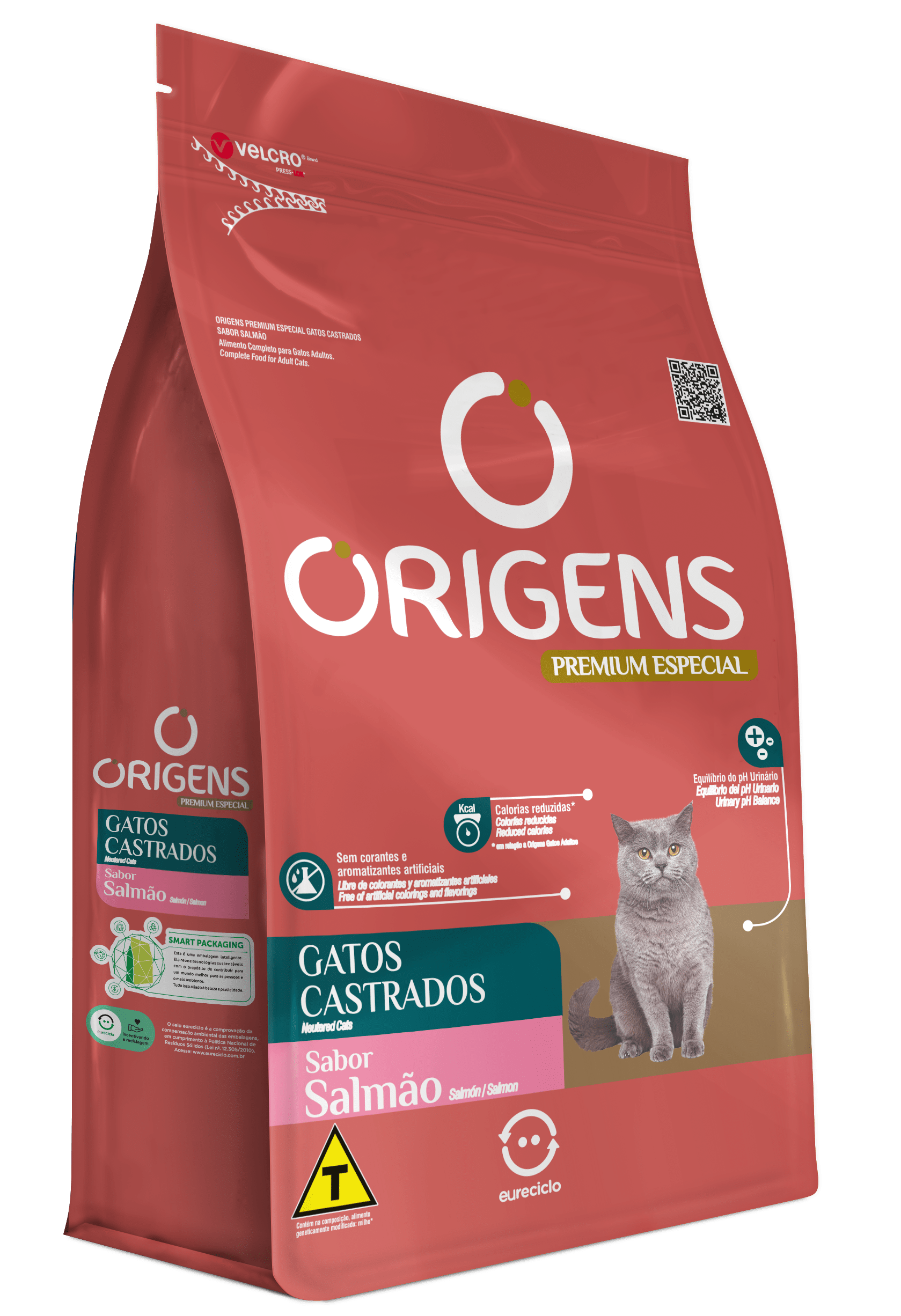 Origens Salmão