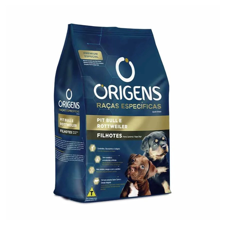 Origens Pitbull