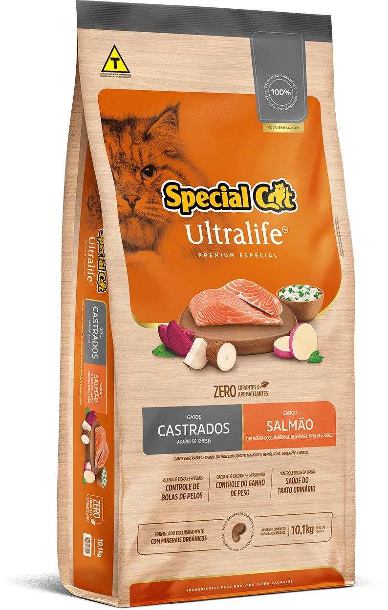 Special Cat Salmão